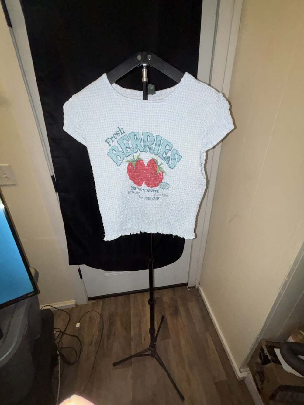 Wild Fable Fresh Berries Strawberry Smocked Gingham Crop Top